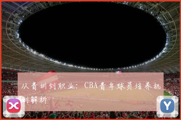 从青训到职业：CBA青年球员培养机制解析